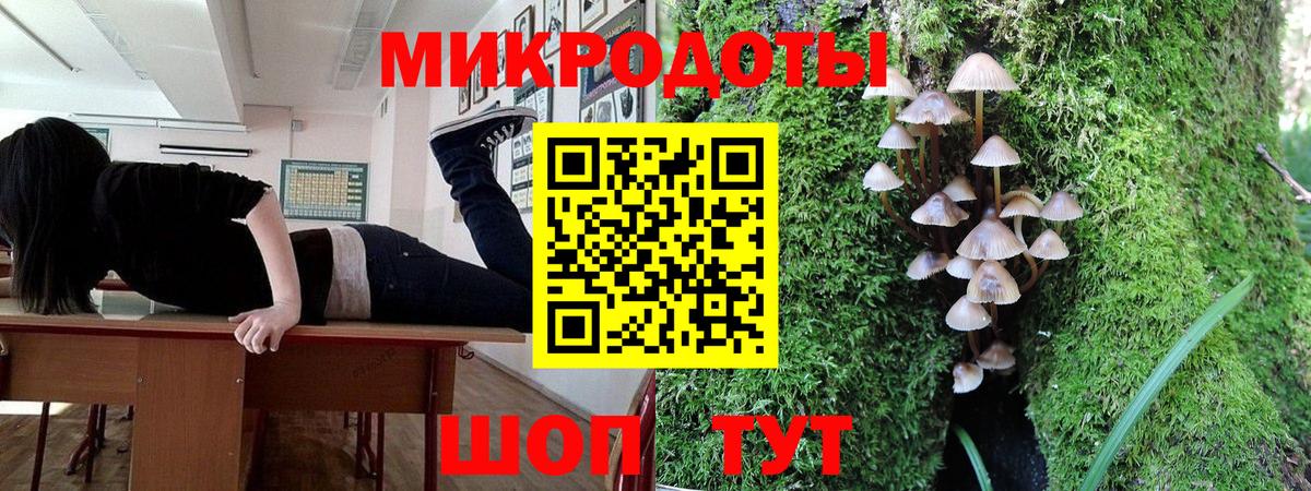 Псилоцибиновые грибы Cubensis Старый Оскол