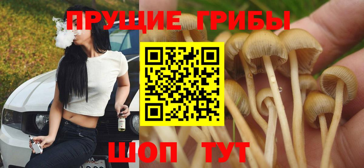 Старый Оскол  Псилоцибиновые грибы ЛСД  купить наркотики сайты  Вход с VPN 