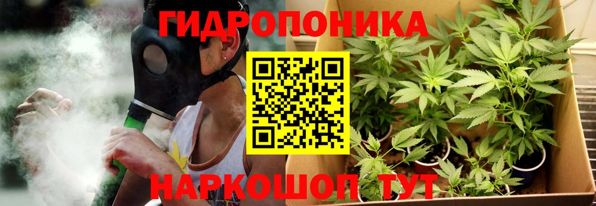 Шишки марихуана семена Старый Оскол
